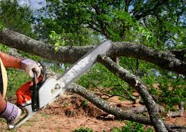 Seasonal Cleanup (Spring/Fall) in Barbourville, KY